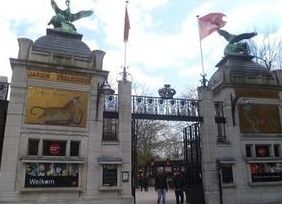 安特衛普動物園 安特衛普動物園