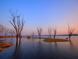 淮南壽唐關 淮南壽唐關