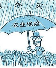 農業保險 農業保險