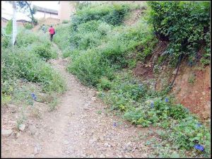 岔河對門村 岔河對門村