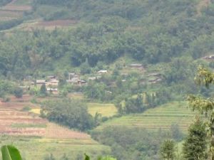 羊窩自然村 羊窩自然村