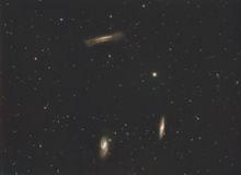 Leo[獅子座英文縮寫]