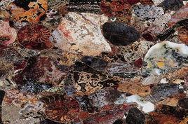 海洋碧玉 海洋碧玉