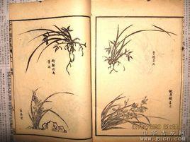 蘭譜[蘭花種植專著]