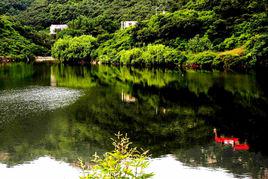 七峰山[河南省南陽市方城縣七峰山]