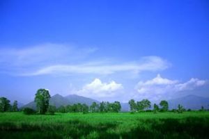 綠草如茵 綠草如茵