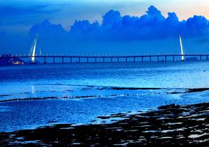 （圖）深圳灣公路大橋