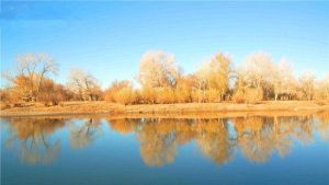 博斯騰湖南岸景區 博斯騰湖南岸景區