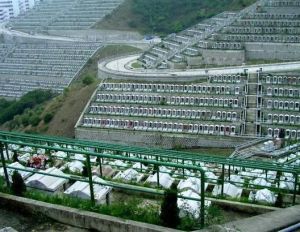 將軍澳華人永遠墳場 將軍澳華人永遠墳場