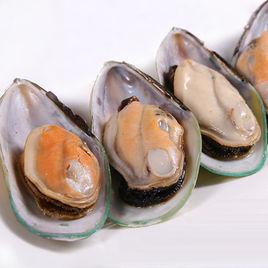 河淡菜貝 河淡菜貝