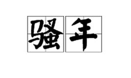 騷年[網路用語]