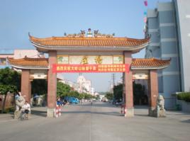 大嶺山鎮村 大嶺山鎮村