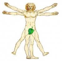 弱毒免疫理論 弱毒免疫理論