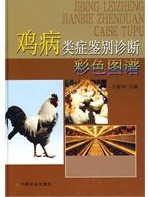 雞病類症鑑別診斷彩色圖譜 雞病類症鑑別診斷彩色圖譜