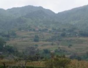 幫信自然村 幫信自然村