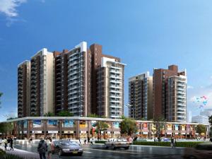 青檸時代 青檸時代