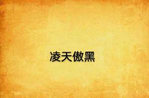 凌天傲黑 凌天傲黑