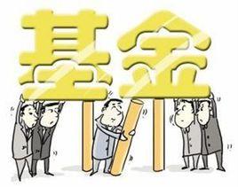 城鄉醫療救助基金管理辦法 城鄉醫療救助基金管理辦法