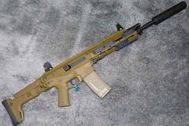 ACR突擊步槍 ACR突擊步槍