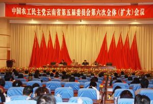 黨的地方委員會常務委員會 黨的地方委員會常務委員會