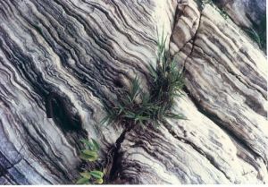 古浪運動 古浪運動