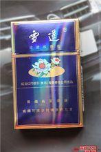 陝西金葉科教集團股份有限公司