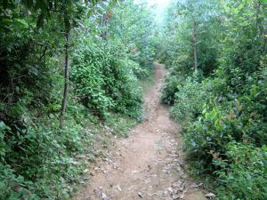 大午塘村 大午塘村