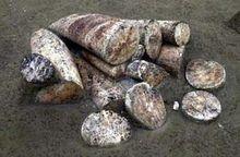 遠古象牙&middot;金沙遺址&middot;成都