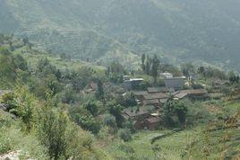 核桃村[雲南省昭通市巧家縣中寨鄉吉兆核桃村]