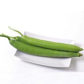 有機絲瓜 有機絲瓜