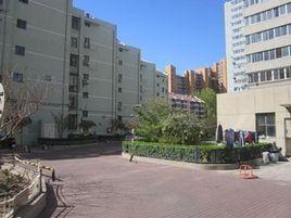 雙紫小區 雙紫小區