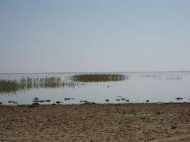 天鵝湖[內蒙古額濟納旗天鵝湖]