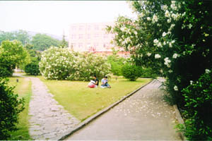 徐州建築職業技術學院