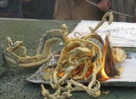 法老之蛇 法老之蛇