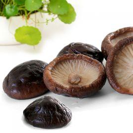 火方冬菇 火方冬菇