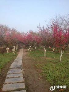 永城市上河城 永城市上河城
