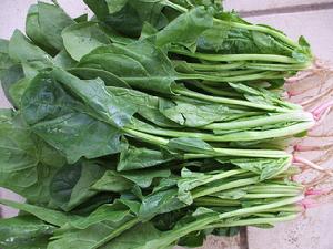 菠菜鴨血豆腐湯