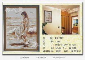 美人蕉背景音響