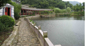 碧嶺生態村 碧嶺生態村