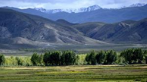 尼木國家森林公園