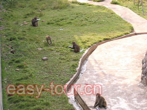 廣新農業生態園