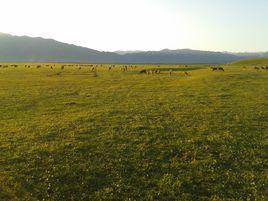 農四師七十六團 農四師七十六團