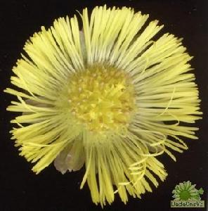 唐家河國家級自然保護區