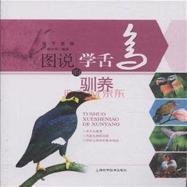 學舌鳥 學舌鳥