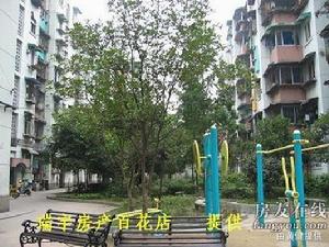 雙楠3區 雙楠3區