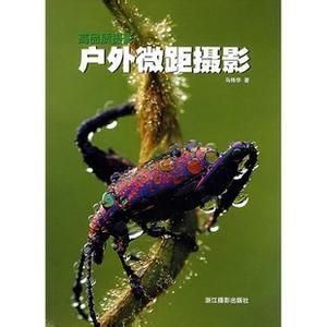 戶外微距攝影 戶外微距攝影