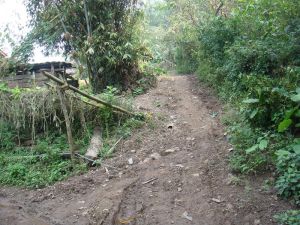 幫梁坡自然村 幫梁坡自然村