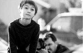 法爾科內·海尼 法爾科內·海尼