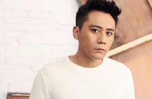 劉燁[中國內地男演員]