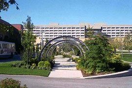 加拿大約克大學 加拿大約克大學